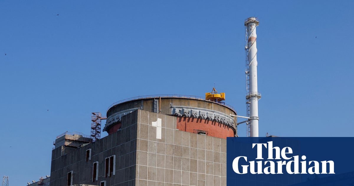 Ukraine war briefing: Repairs begin in bid to restore power to Zaporizhzhia nuclear plant