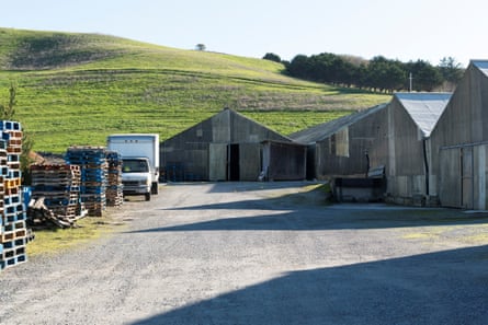 A farm where one of the shootings happened remains empty in Half Moon Bay, California