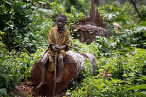 A child sits on a newly felled tree trunk on the edge of the park