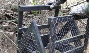 A homemade trap at the Longformacus estate