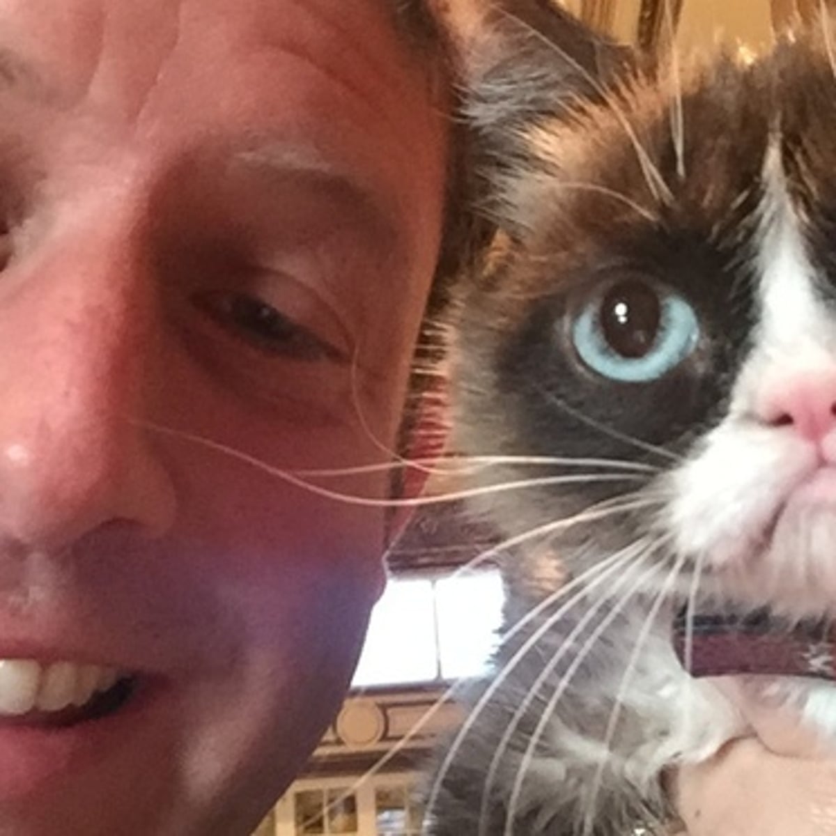 Grumpy Cat Smiling Good