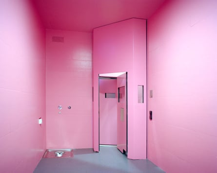 Angélique Stehli, Pink Cells, 2013/2017