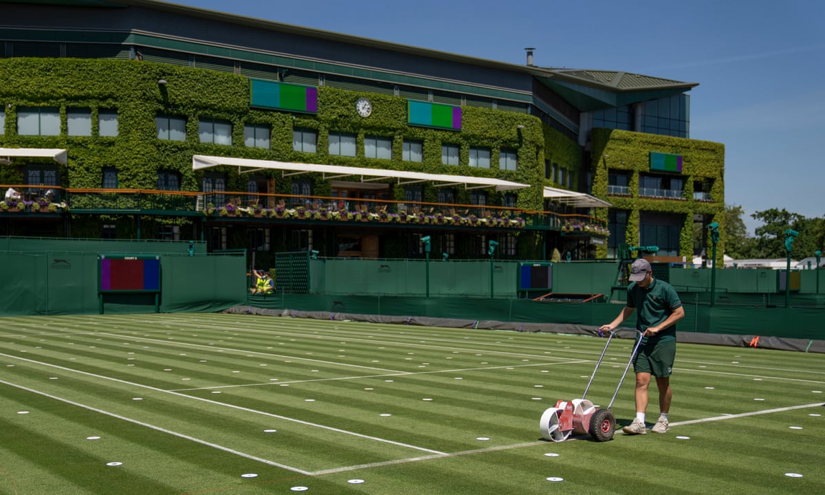 picture Wimbledon 2021 wimbledon 2021 how to apply for