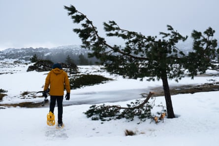 Guide João Pedro Sousa on one of the trails that follow old shepherd paths.