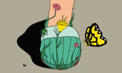 cartoon of slippers with plants and butterfly