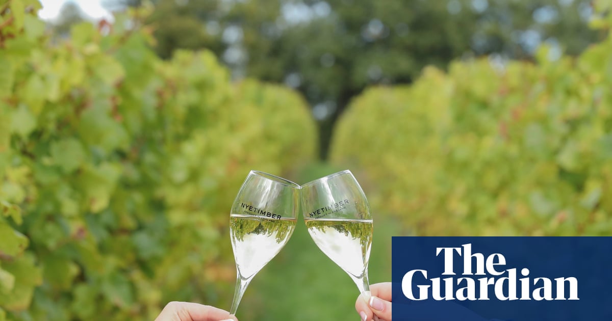 A world-class producer': English wines toast record gold medal haul