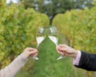 ‘A world-class producer’: English wines toast record gold medal haul