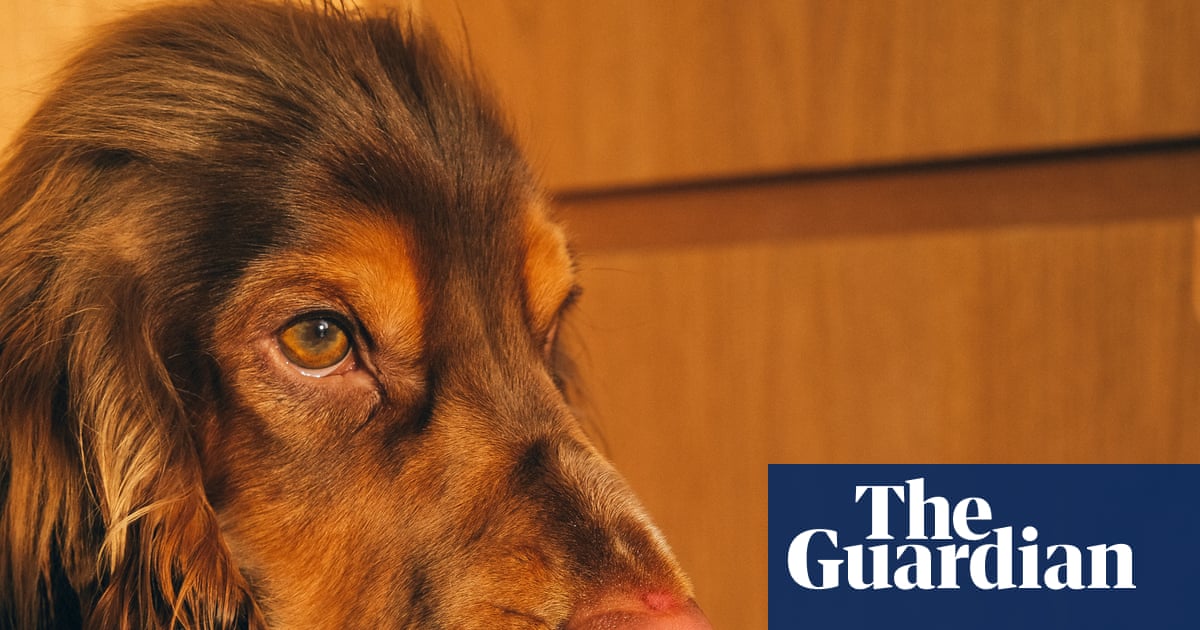 24 photography exhibition 2026 in pictures