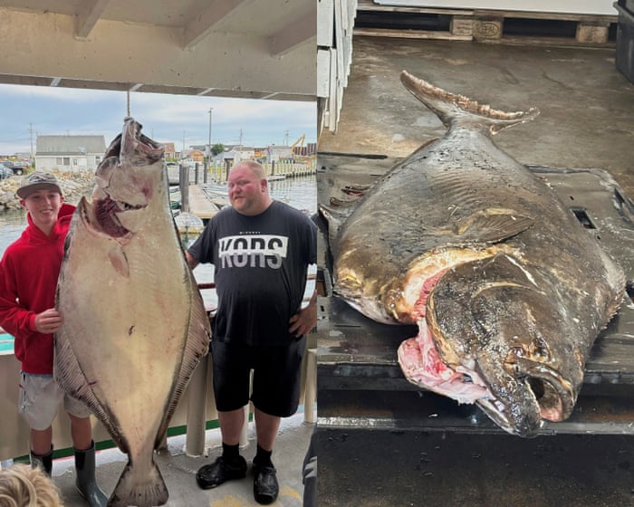 New Hampshire teen catches giant halibut outweighing him by nearly 60lbs