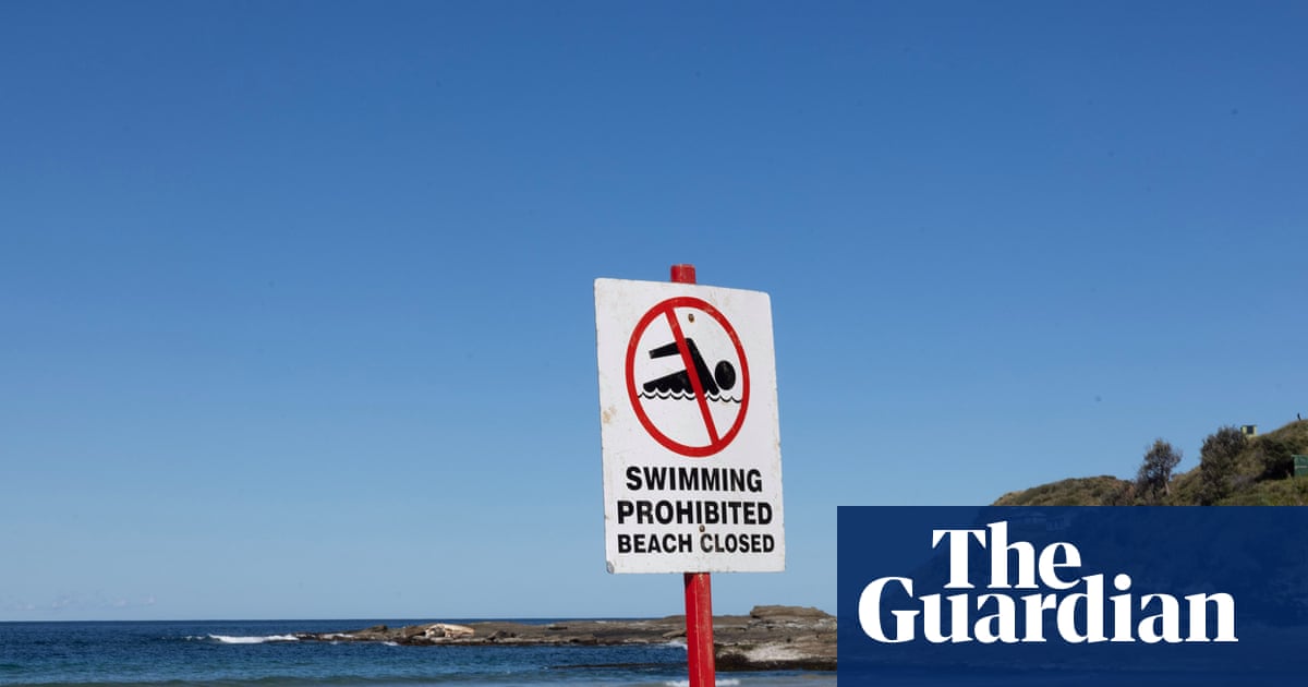 Authorities issue shark warning over whale that swam 11km upstream in Clarence River and later died