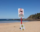Authorities issue shark warning over whale that swam 11km upstream in Clarence River and later died