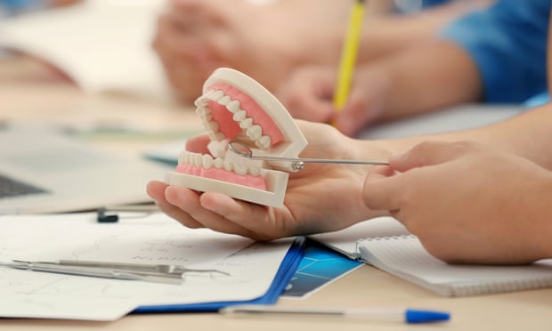 Student holding dental jaw model