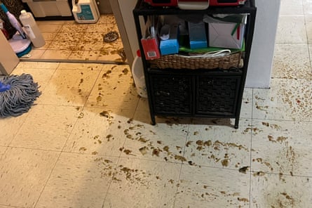 Sewage covers Carol Edwards’ laundry, kitchen and dining room after erupting from the drain in her laundry.