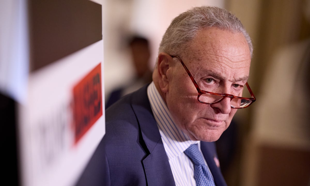 Democratic governors criticize Chuck Schumer for weak resistance to Trump | Democrats | The Guardian