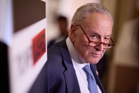 Democratic governors criticize Chuck Schumer for weak resistance to Trump | Democrats | The Guardian