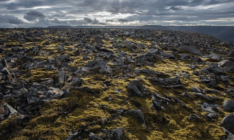 The Westfjords, Iceland’s oldest geological region, 2016