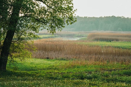 Feeding everything in the Biebrza marshes is the eponymous river.