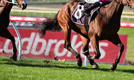 Gambling company signage at horse races in Melbourne
