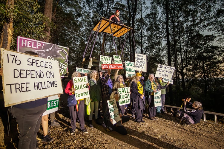 Environment summit taking place in Sydney while greater glider habitat is logged is ‘bullshit’, advocates say Protesters at the Bulga state forest on Tuesday. Photograph: Amber L Hall