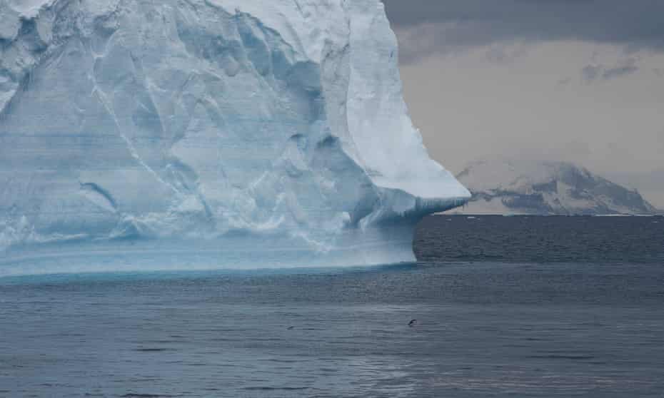 Scientists have been shocked by high temperatures in both Antarctica and the Arctic in recent days, with one Antarctic station recording a temperature more than 40C above seasonal norms.