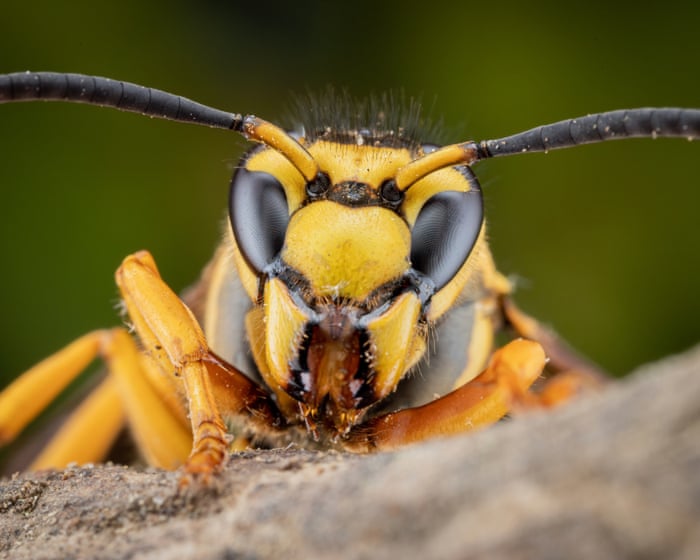 How Queen’s University Belfast became a global hub for decoding Earth’s past – and protecting its future