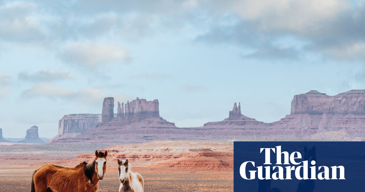 Tom’s Crossing by Mark Z Danielewski – House of Leaves author returns with a 1200-page western