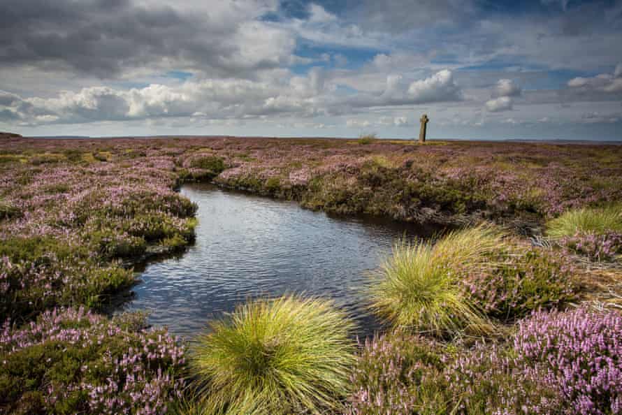 Old Ralphs Cross and bog on Westerdale Moor, North York Moors National Park.
