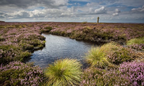 Old Ralph’s Cross and peat bog on Westerdale Moor, North York Moors national park.