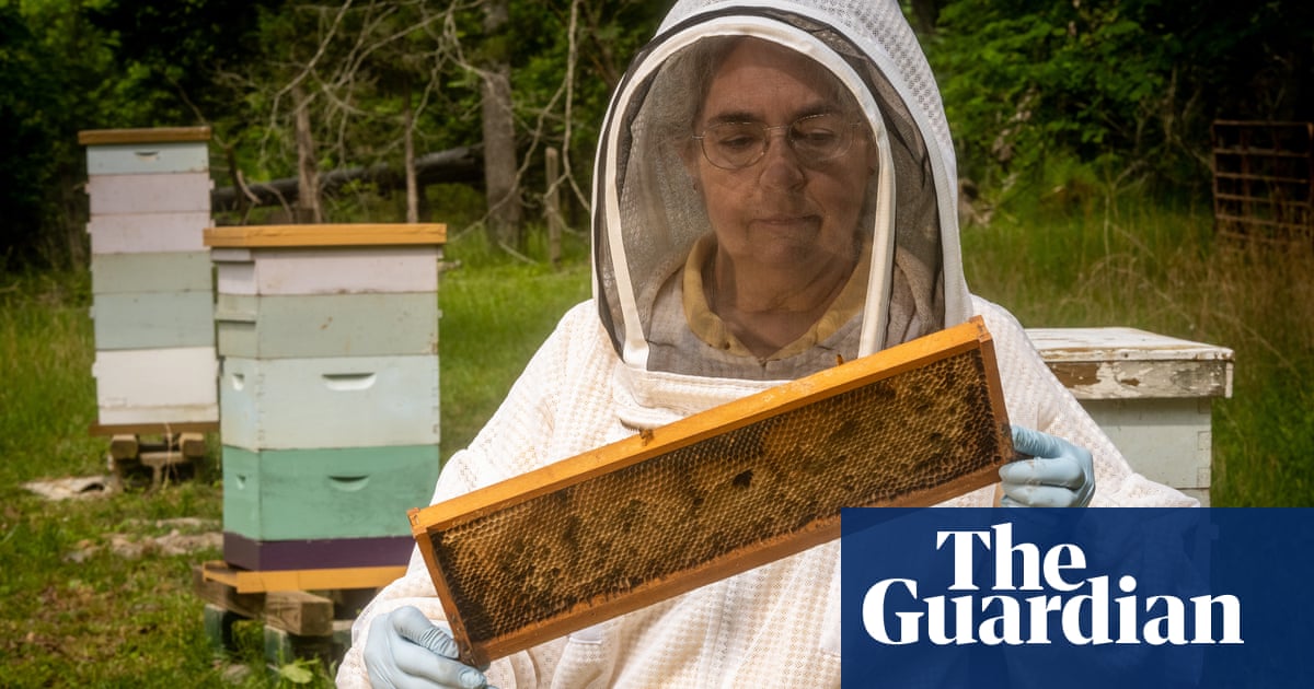 I'm a vet for bees I think I might be the only one in the US