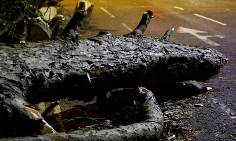 A fallen tree lies across a road after Storm Eunice, in Leatherhead, southern England.