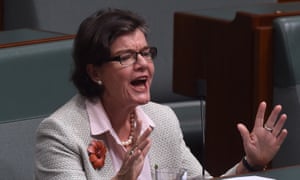 The member for Indi, Cathy McGowan, helped launch the Australia Institute report in Canberra on Wednesday. 