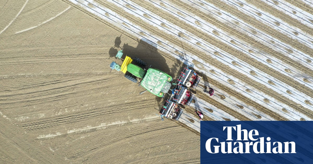 ‘Disastrous’ plastic use in farming threatens food safety – UN