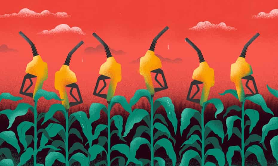 sebastien thibault illustration