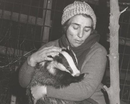 Molly Burkett with a badger, 1981