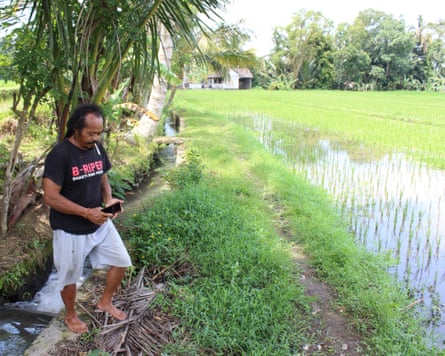 Parta beside rice field