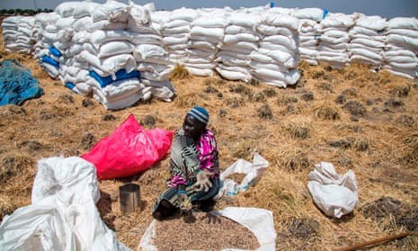 A woman collecting grains left on the ground after a food distribution in Ganyiel, South Sudan.