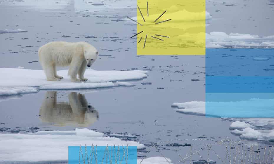 Polar bear stranded on shrinking Arctic sea ice