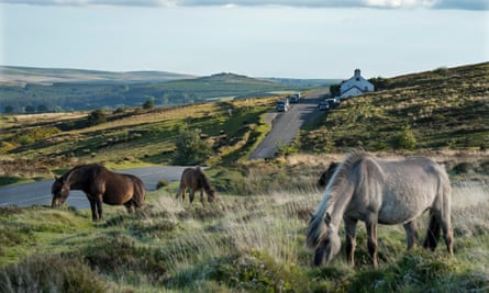 Warren House Inn and Dartmoor ponies.