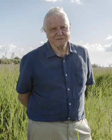 Sir David Attenborough.