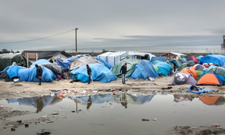 Tents in the Jungle