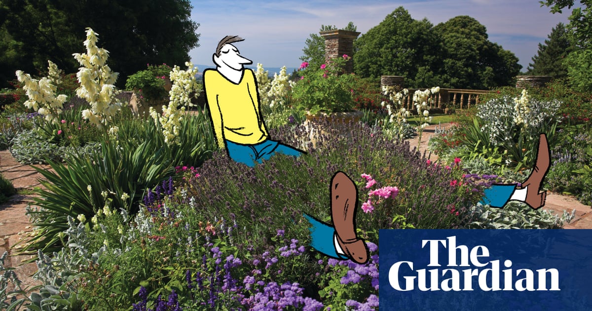 H Is For Free Houseplants An A Z Of Transforming Your Space In