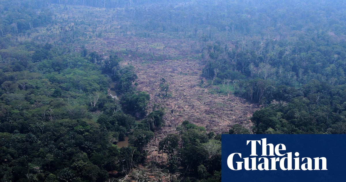 Brazilian Amazon deforestation falls to lowest on record as pivotal vote looms