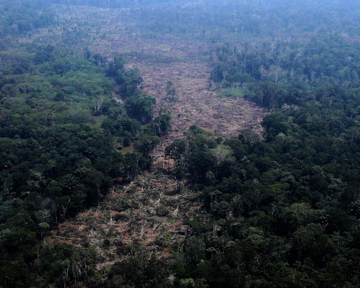 Brazilian Amazon deforestation falls to lowest on record as pivotal vote looms