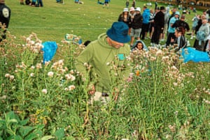 A fan standing in tall vegetation at Murrayfield