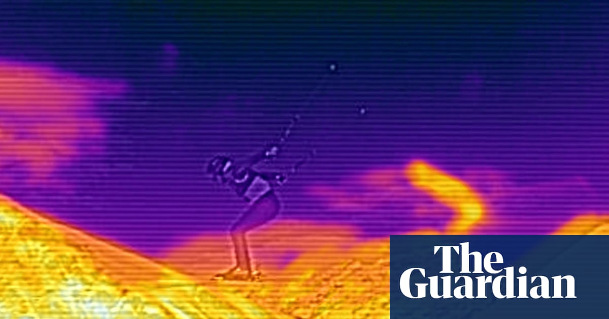 Heat seekers: amazing thermal images from the Winter Olympics