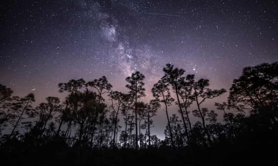 La douche de météores Eta Aquarid au Babcock Wildlife Refuge, en Floride.