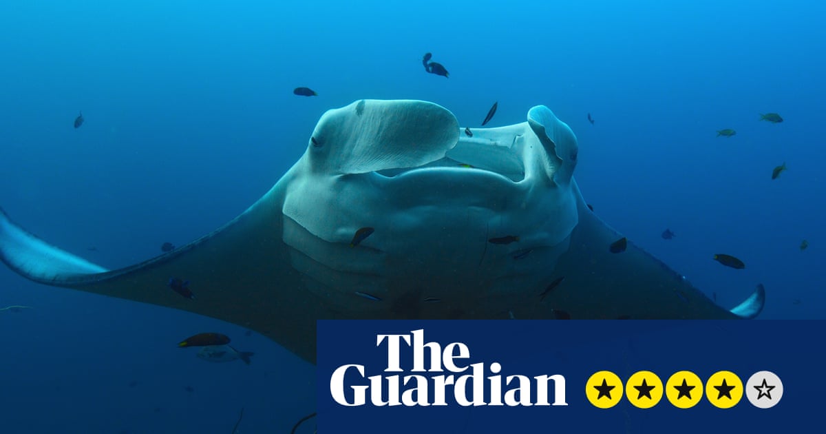 Our Oceans review - Barack Obama's nature show might be the most beautiful thing you see all year