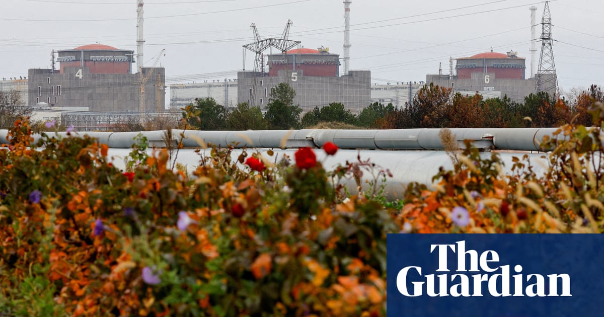 Ukraine war briefing: Zaporizhzhia nuclear plant targeted by drones for third day