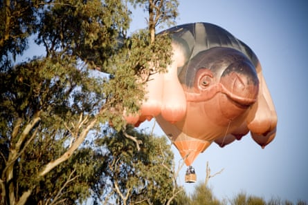 The infamous Skywhale makes its maiden flight over Western Victoria, in May 2013.