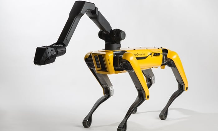 Spot mini robot Spot mini robot